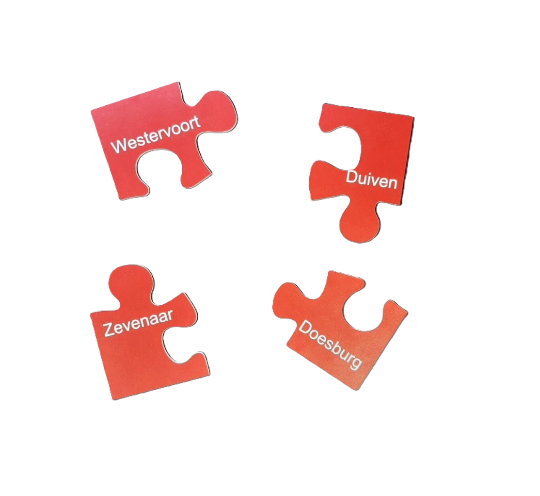 Fusie als oplossing: maar voor welk probleem?